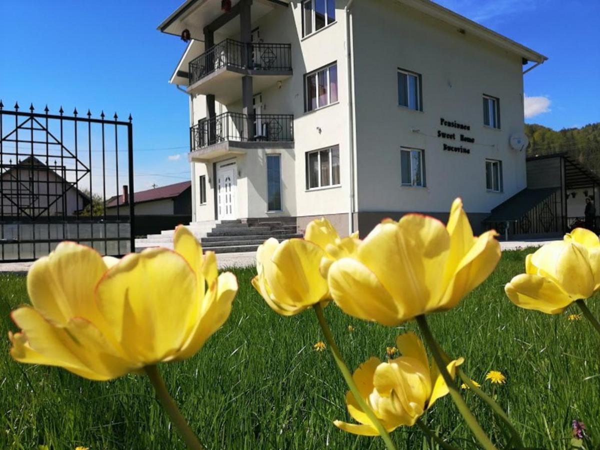 Sweet Home Bucovina Frasin Petreceri Private Si Majorate Exterior photo