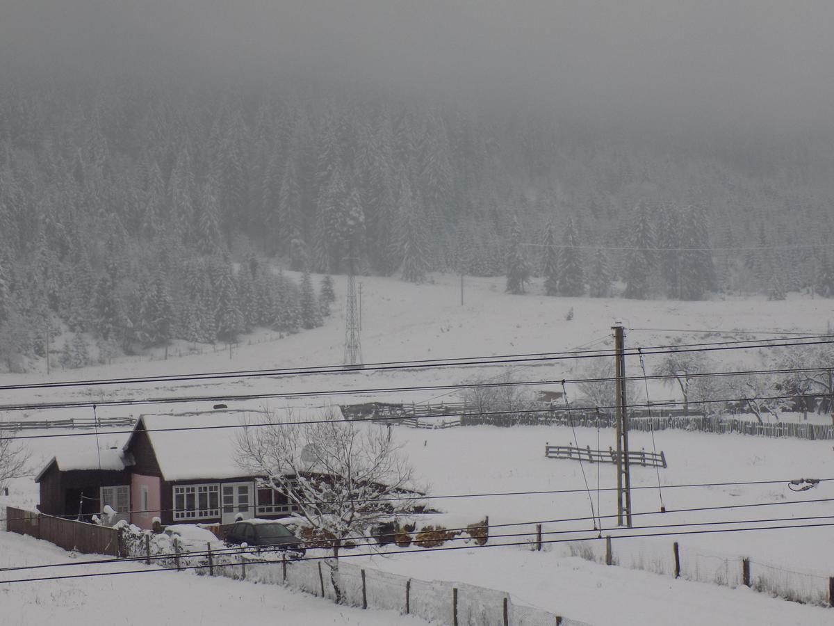 Sweet Home Bucovina Frasin Petreceri Private Si Majorate Exterior photo